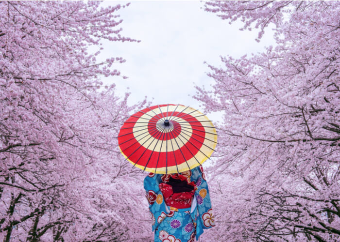 viaje romantico en Kyoto, Japón con los cerezos en flor