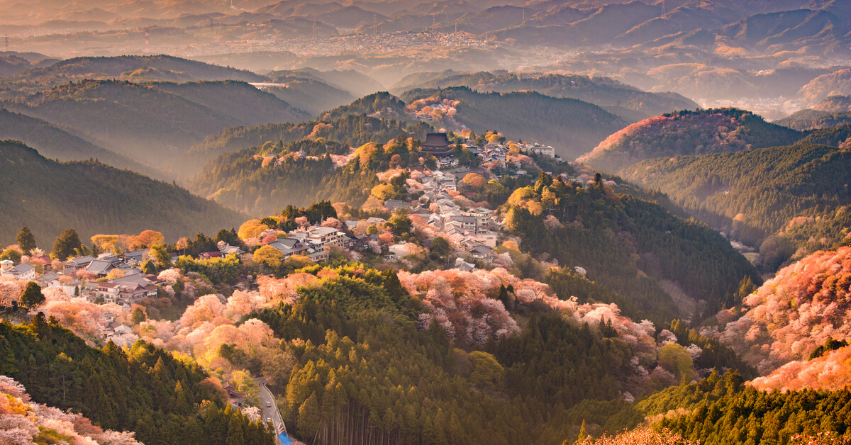 Cerezos en Flor en Japón 2020 - ¿Cuando es la mejor epoca?