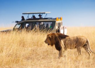 safari_kenia_jeep