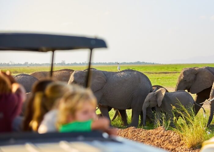 safari-kenia-familia-elefantes