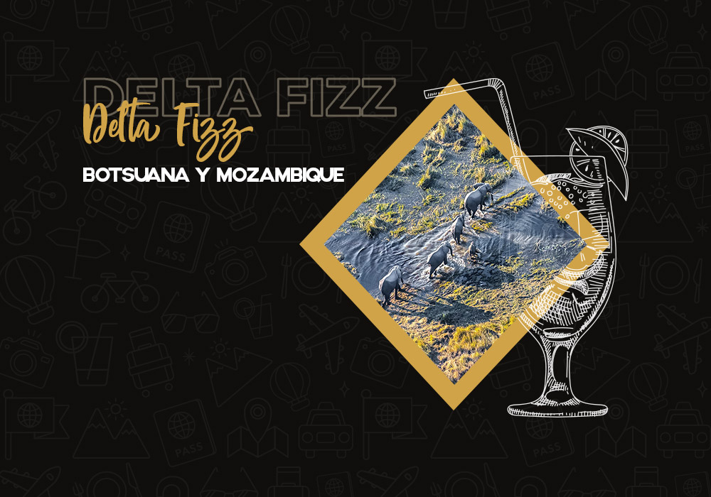 Cóctel Delta Fizz: Botsuana y Mozambique