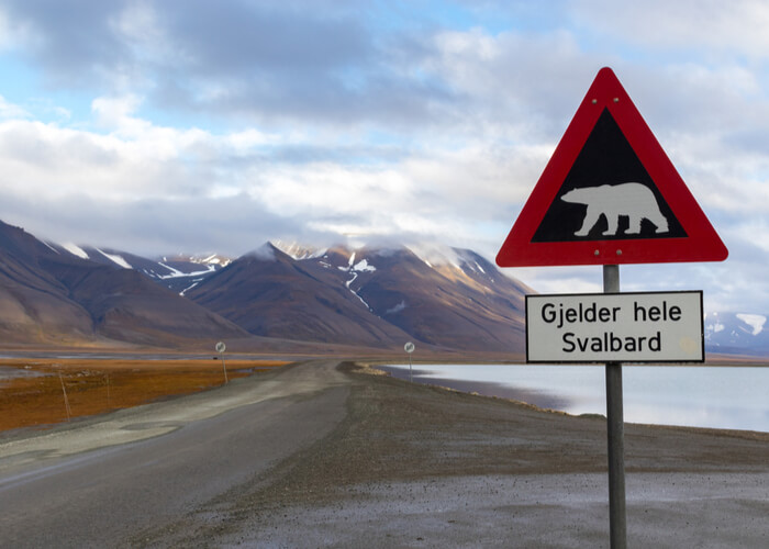 viaje-ver-osos-polares-Svalbard