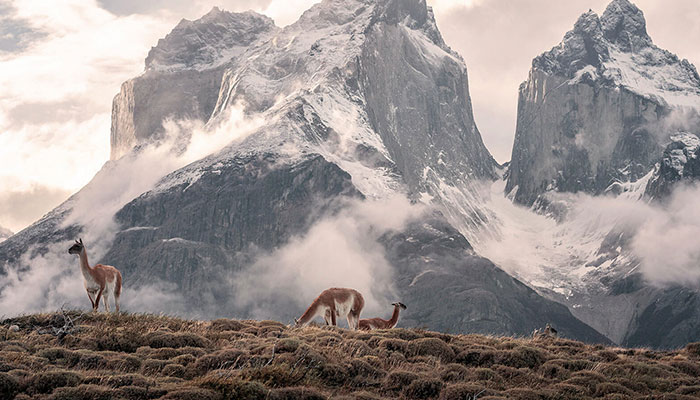 que-visitar-en-chile-patagonia-chilena